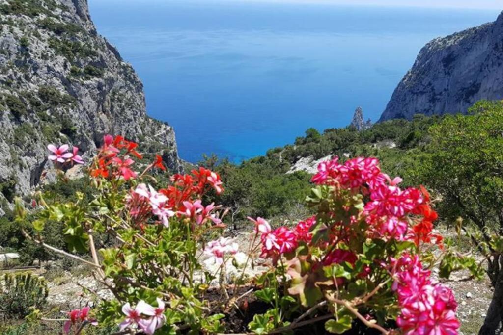Appartamento Baus Baunei Dış mekan fotoğraf